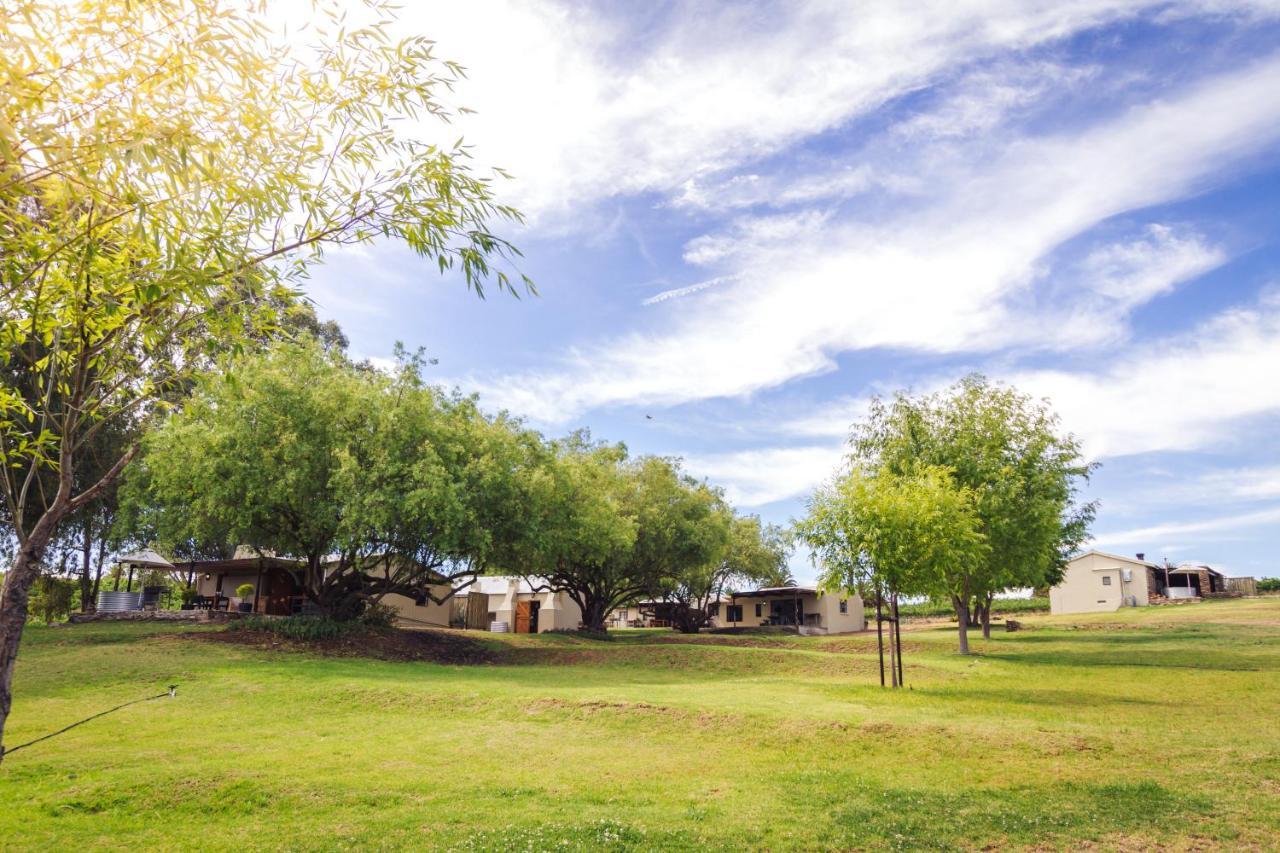Arendsig Wine Estate & Cottages Bonnievale Exterior foto