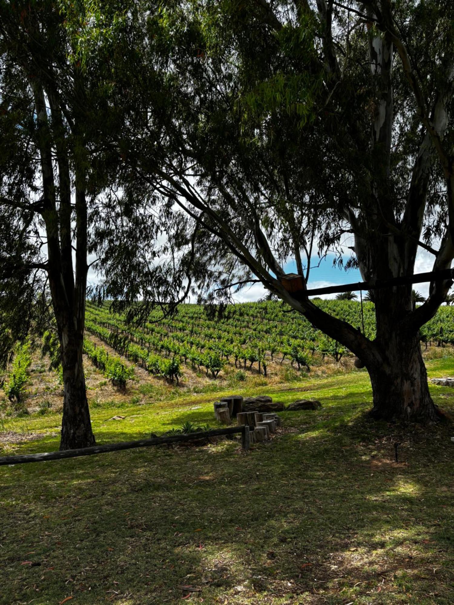Arendsig Wine Estate & Cottages Bonnievale Exterior foto